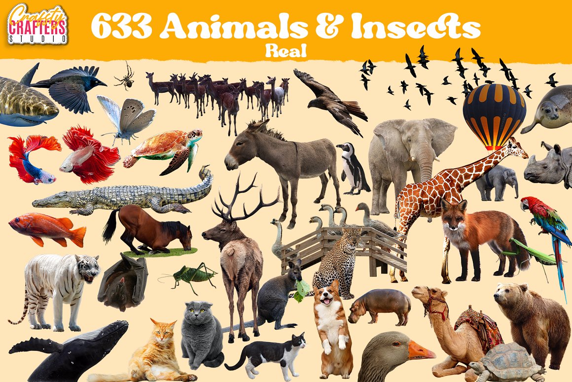 Craftsy Crafters 2837个复古手工剪裁拼贴艺术定格杂志人物植物动物背景PNG素材包 Vintage Collage Kit 2837+ Elements（6297） -