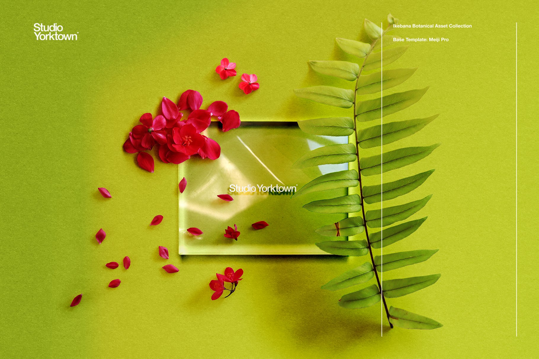 超高分辨率玫瑰芙蓉花卉植物花瓣PNG免抠图大合集 Ikebana Botanical Asset Collection