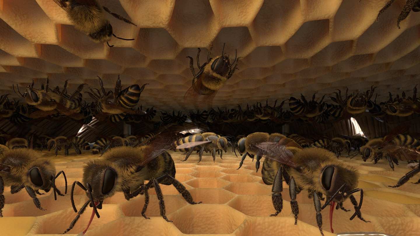 《蜜蜂VR》Honeybee VR