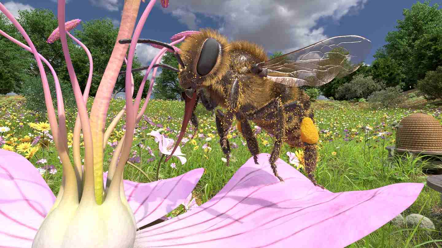 《蜜蜂VR》Honeybee VR