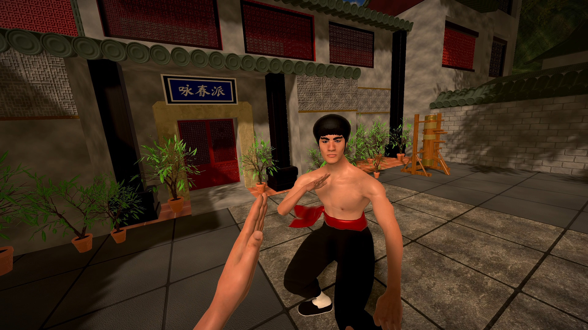 《龙拳：VR功夫》Dragon Fist: VR Kung Fu