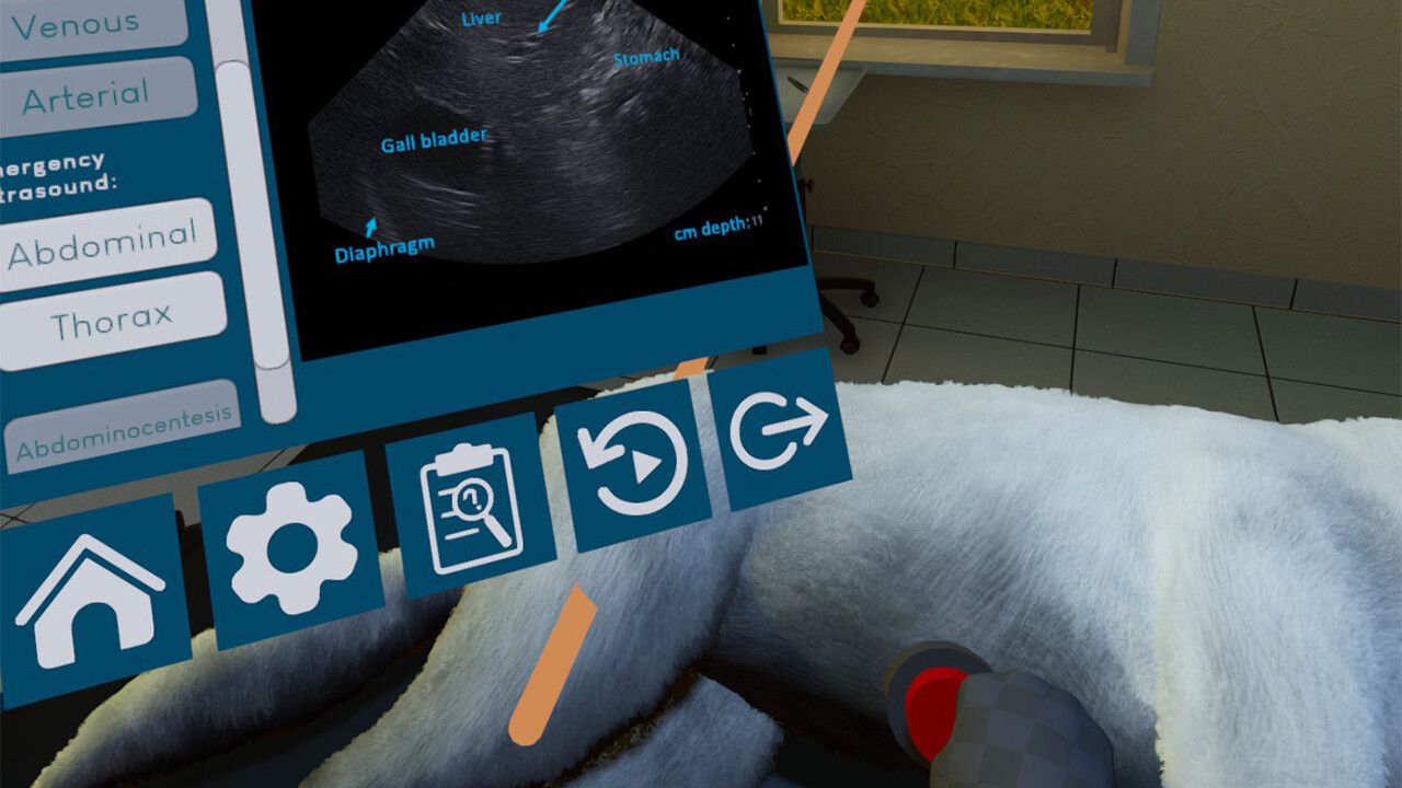 兽医模拟器 (VetVR Veterinary Simulator)