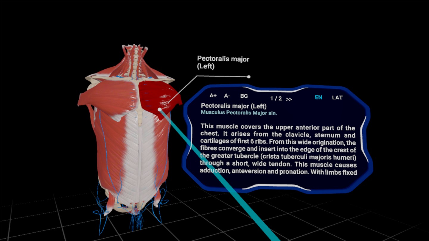 《高中解剖学 VR》High School Anatomy for Quest 未分类 第4张