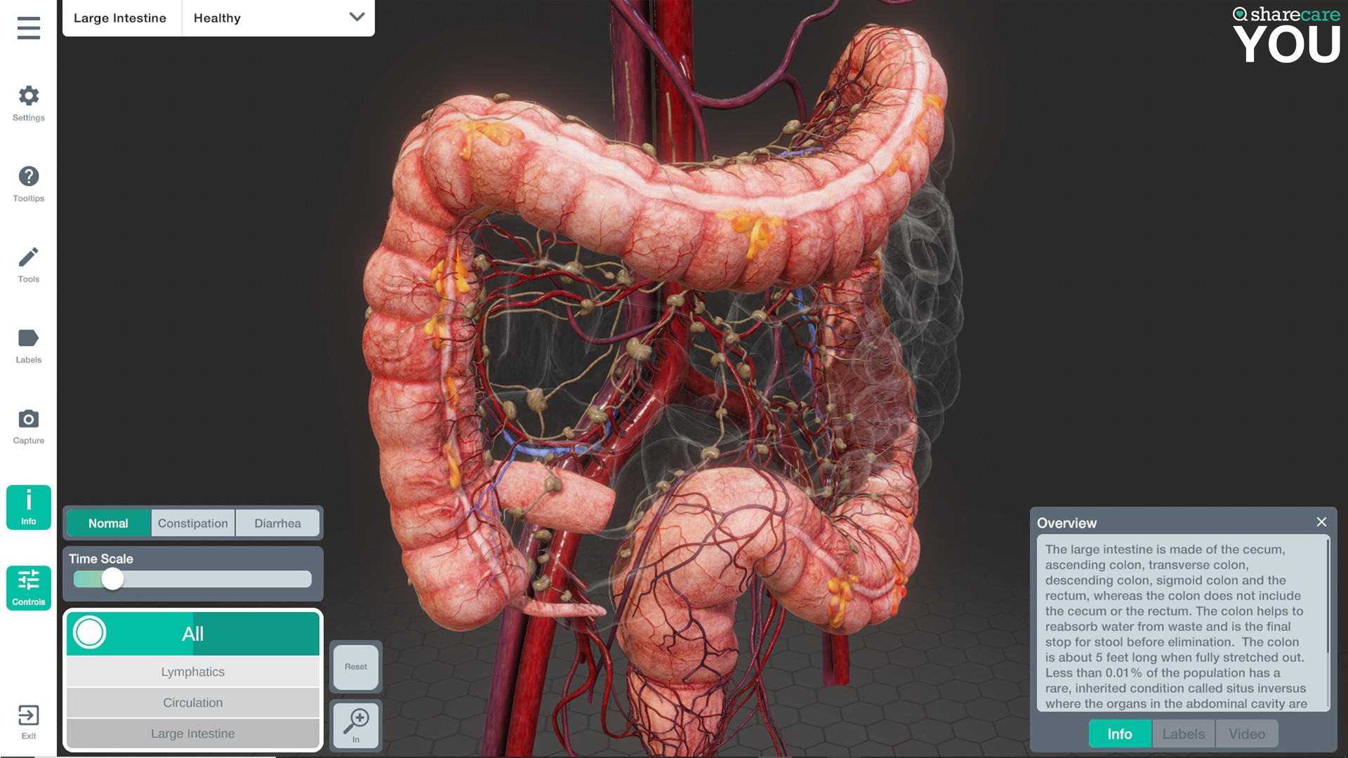 《器官解刨学》Sharecare YOU Anatomy VR