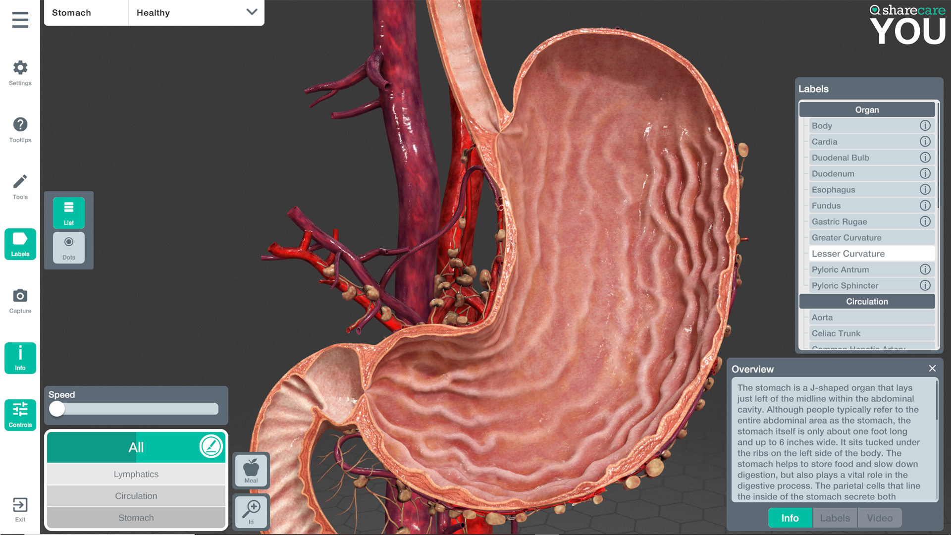 《器官解刨学》Sharecare YOU Anatomy VR