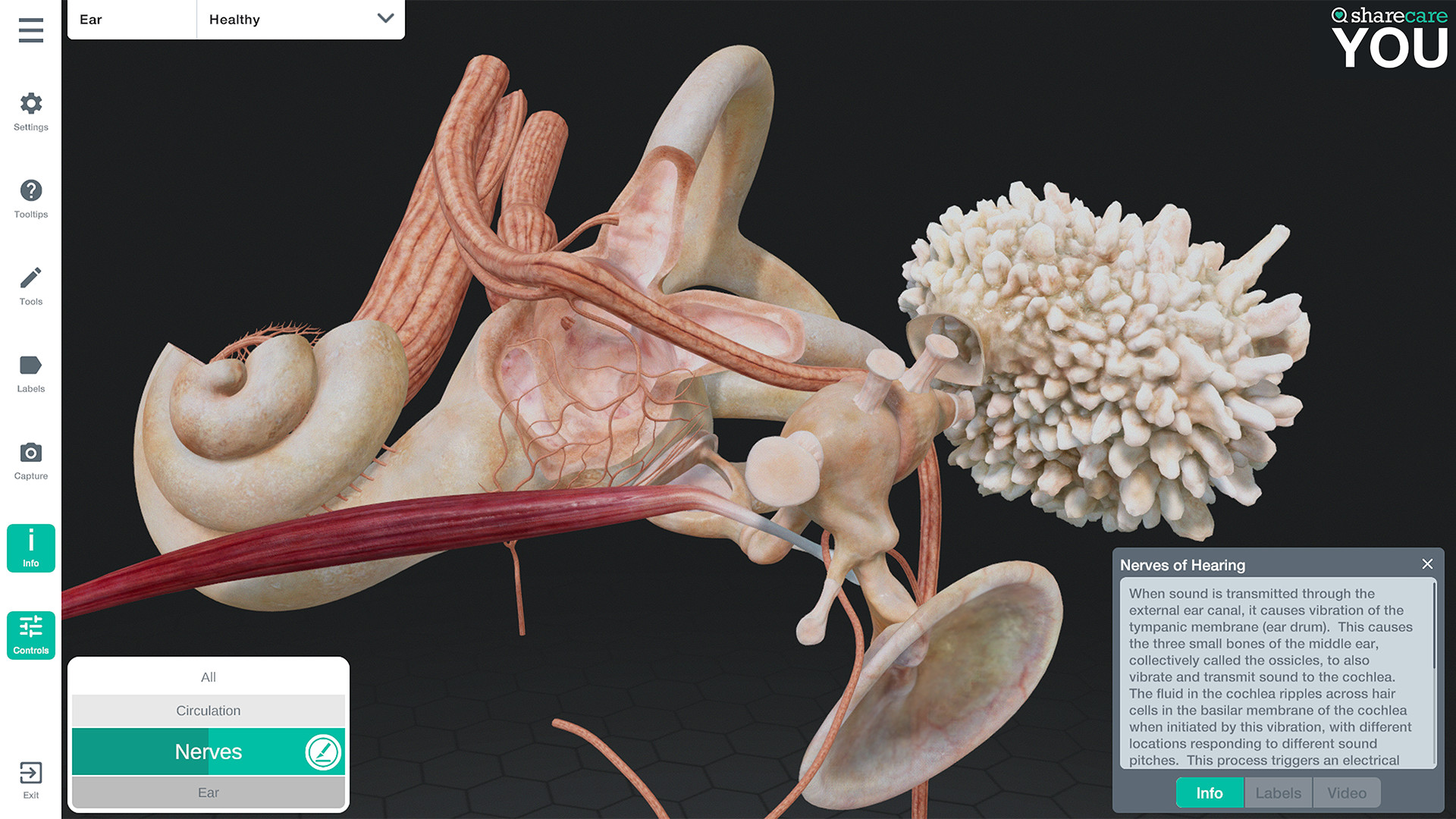 《器官解刨学》Sharecare YOU Anatomy VR