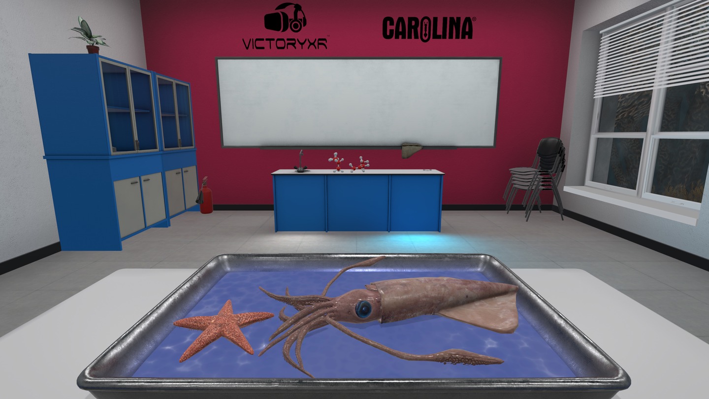 《解剖模拟器 无脊椎动物》Dissection Simulator: Invertebrate Edition