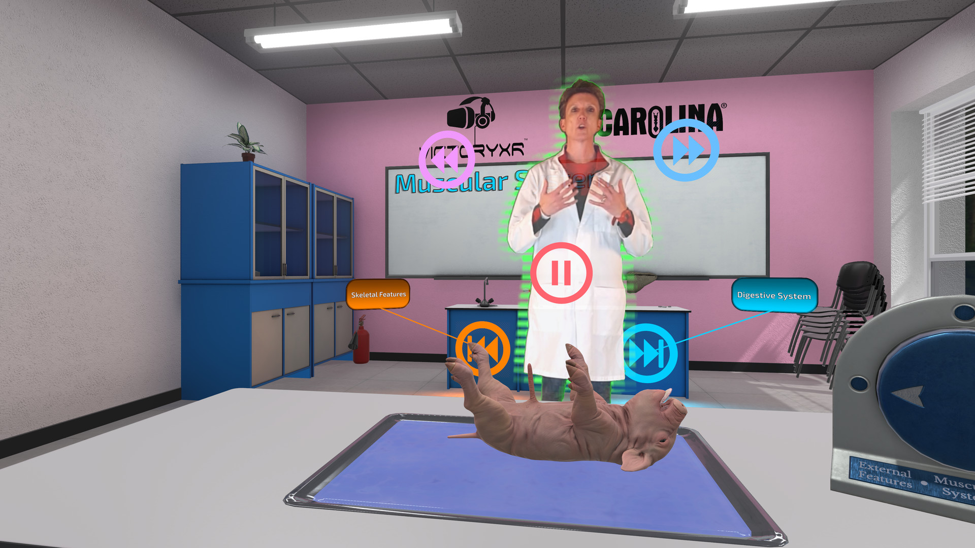 《解剖模拟器 小猪》Dissection Simulator – Pig Edition