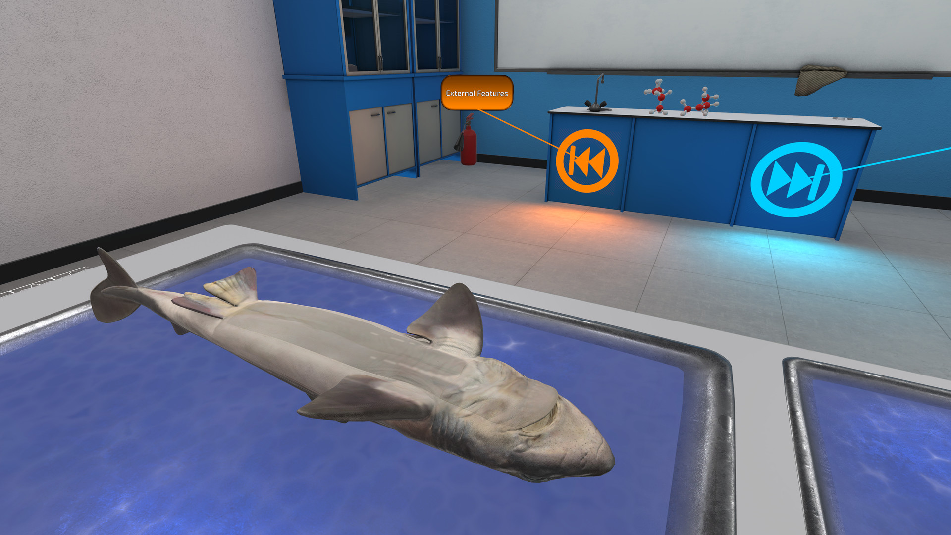 《解剖模拟器 鲨鱼》Dissection Simulator: Shark Edition VR