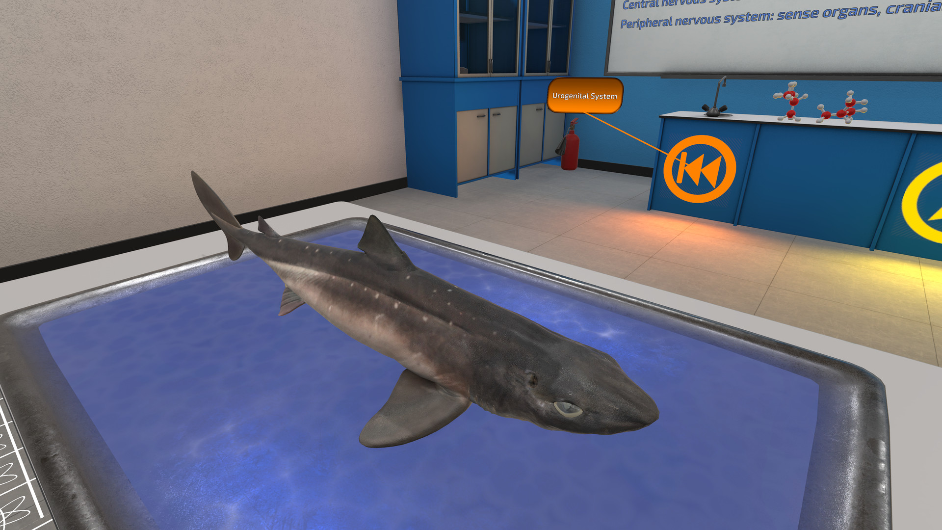 《解剖模拟器 鲨鱼》Dissection Simulator: Shark Edition VR