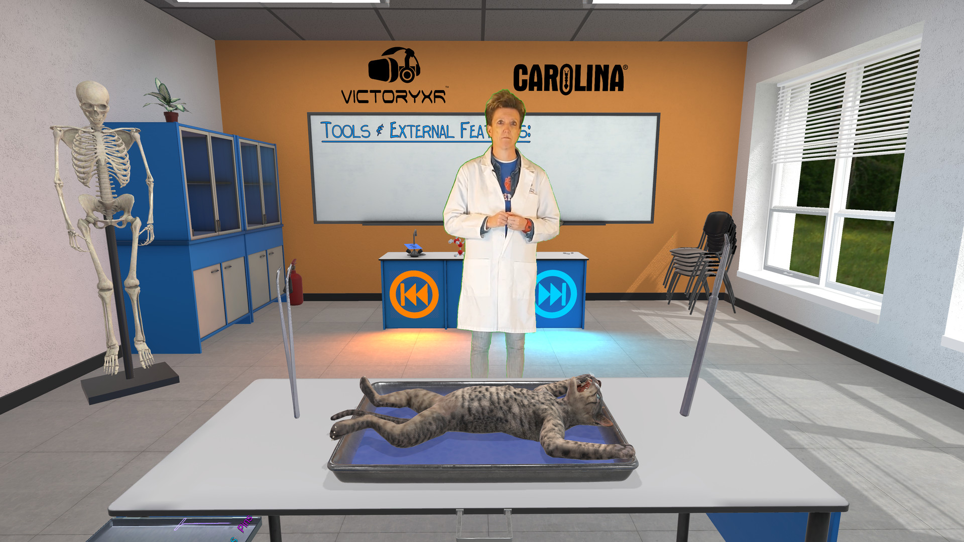 《解剖模拟器 猫科动物》Dissection Simulator – Cat Edition