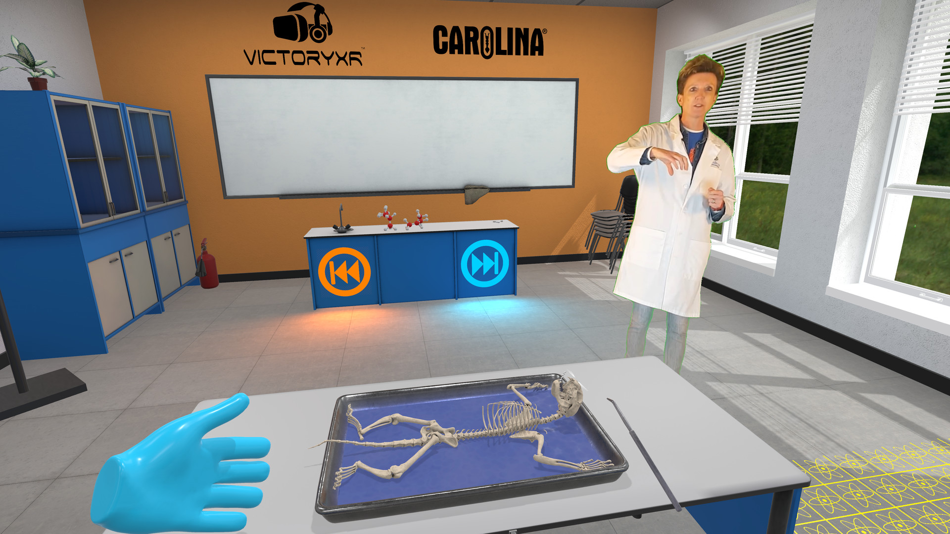 《解剖模拟器 猫科动物》Dissection Simulator – Cat Edition