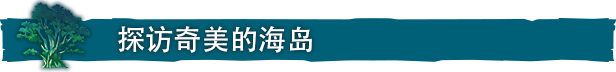 《海之呼唤汉化版》Call of the Sea 未分类 第1张