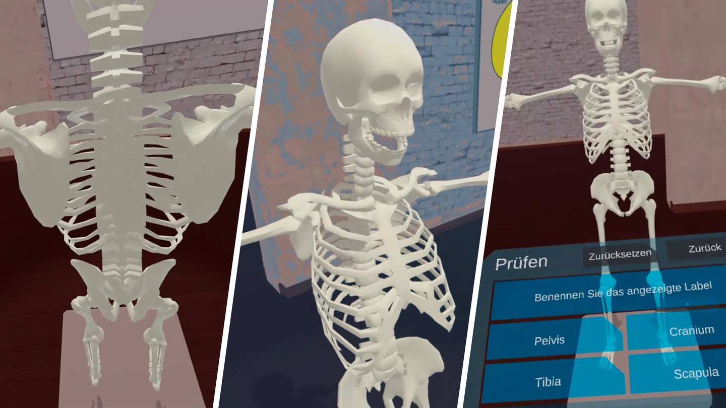 《解剖实验室》VR Anatomy Lab