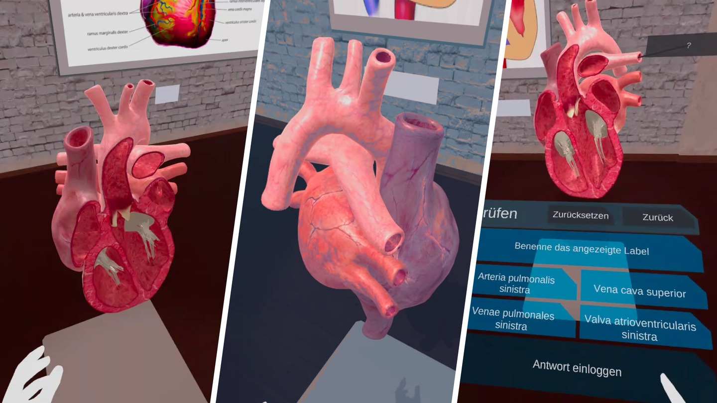 《解剖实验室》VR Anatomy Lab