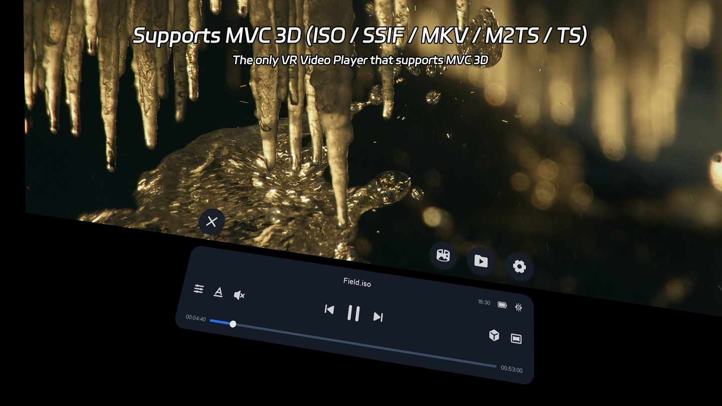 《4XVR视频播放器》4XVR Video Player