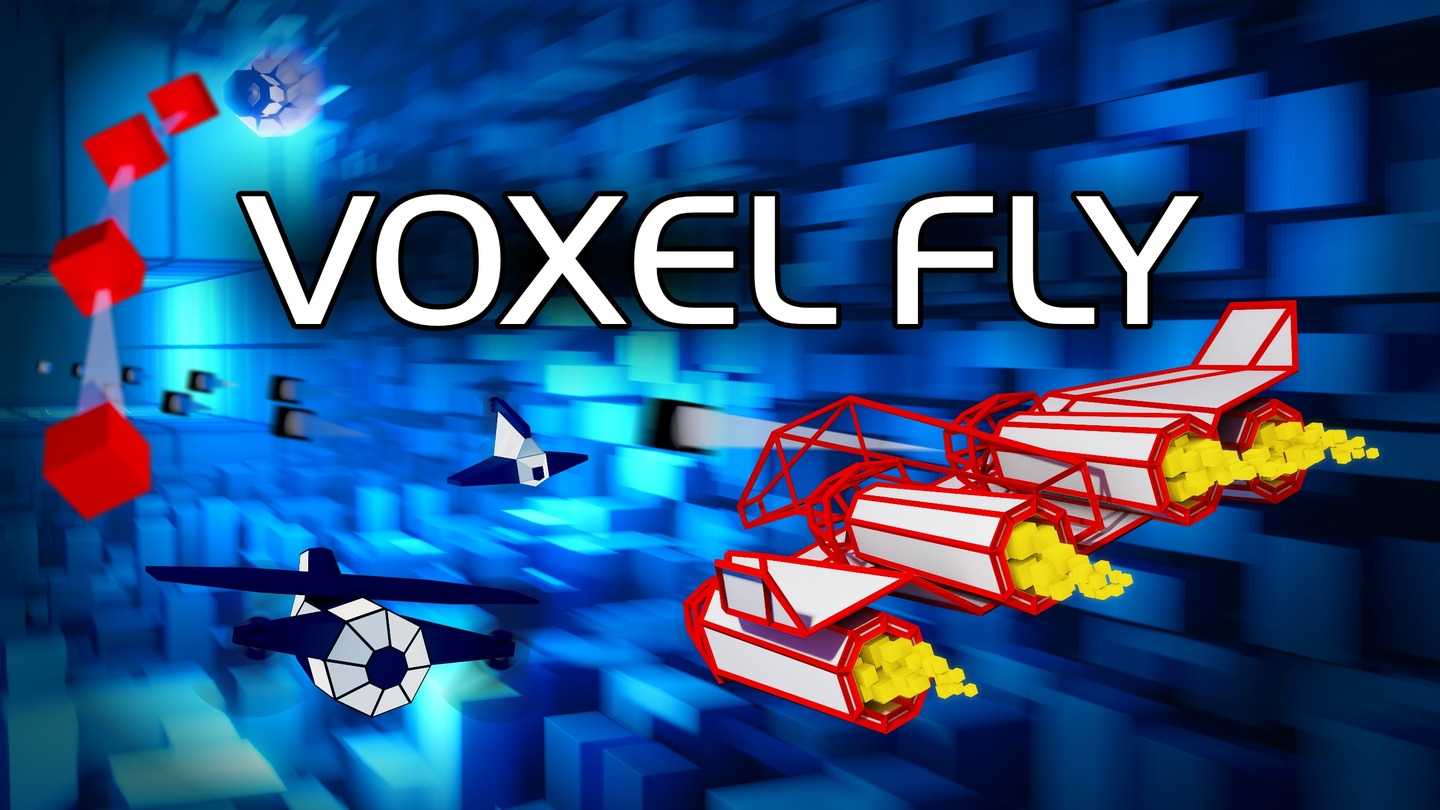 《体素飞行》Voxel Fly