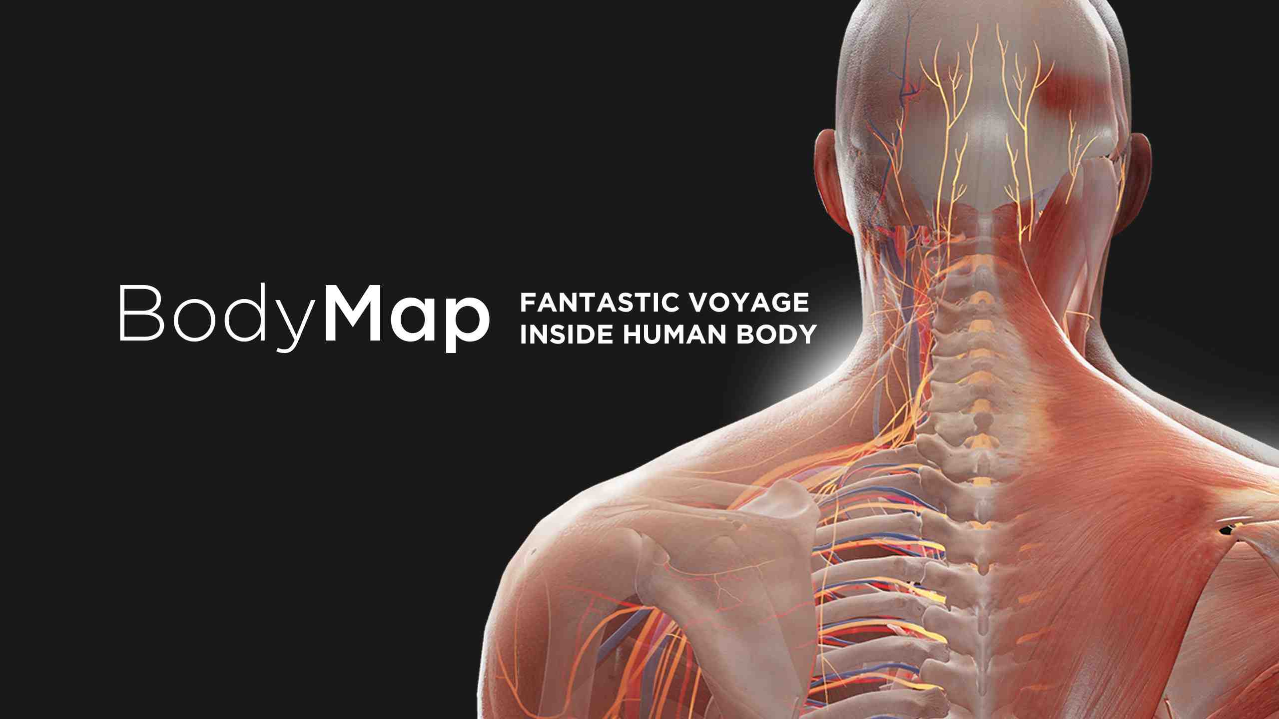 《解剖学和医学教育》BodyMap for Anatomy and Medical Education