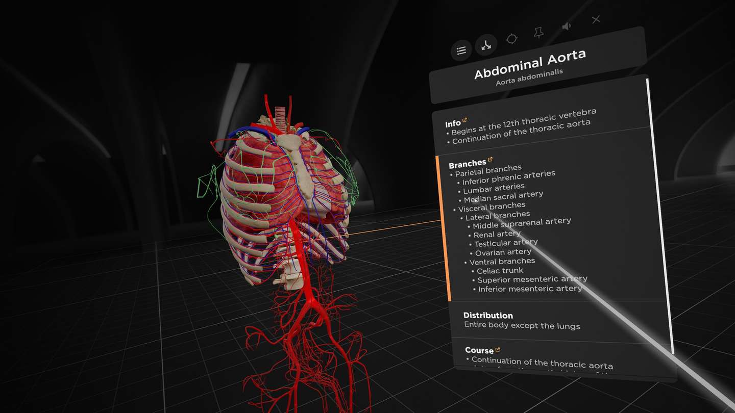 《解剖学和医学教育》BodyMap for Anatomy and Medical Education